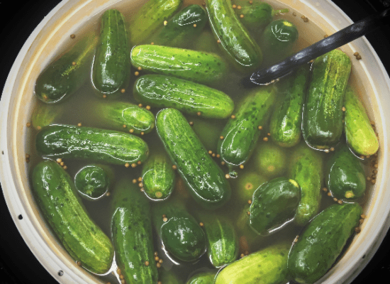 New York Pickle 2