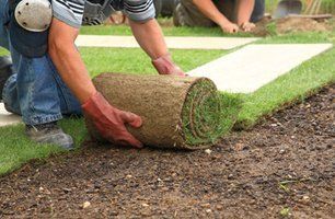 Lawn turfing