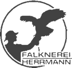 Rittergut Adlershof zu Oberlauterbach - Logo Falknerei © Hans Peter Herrmann Rittergut Adlershof zu Oberlauterbach - Logo Falknerei © Hans Peter Herrmann
