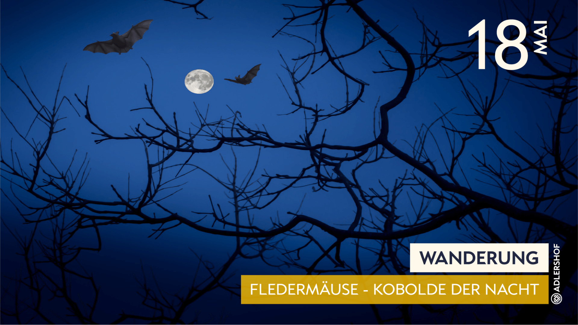 Rittergut Adlershof Umweltzentrum - Fledermäuse Kobolde der Nacht © Jens Reiher Rittergut Adlershof Umweltzentrum - Fledermäuse Kobolde der Nacht © Jens Reiher