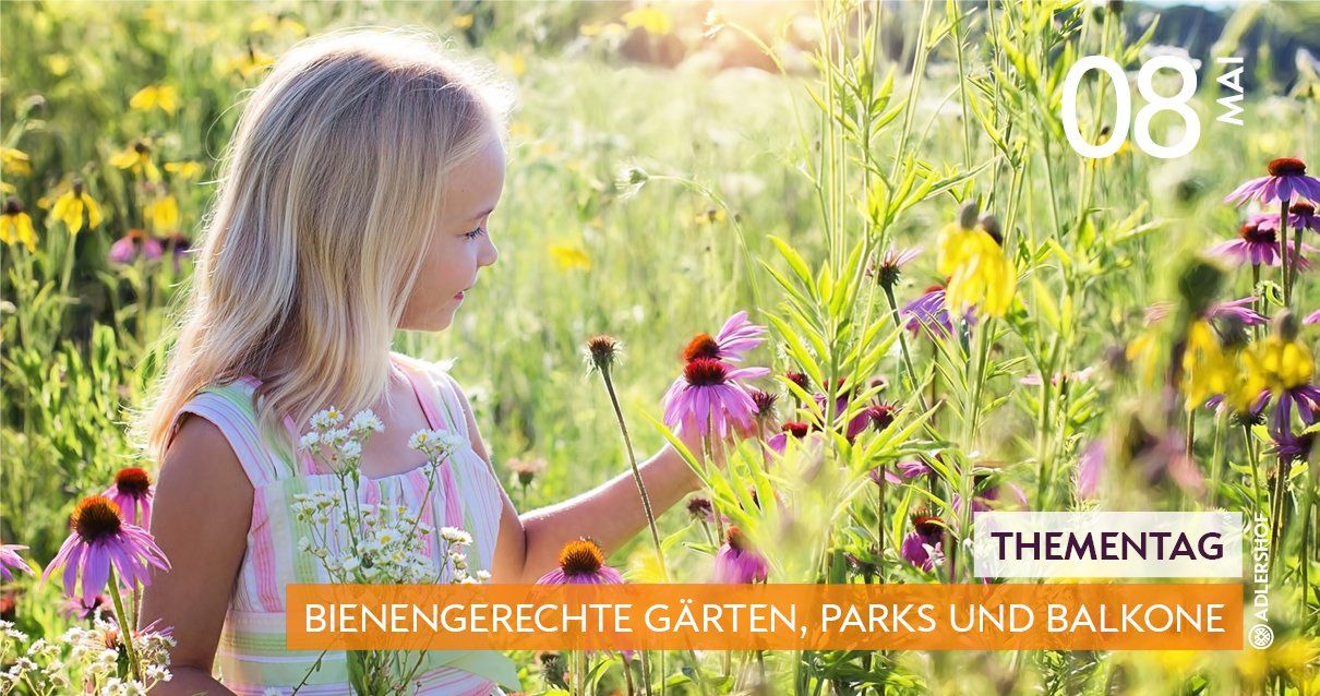 Rittergut Adlershof Umweltzentrum Oberlauterbach Vogtland NUZ - Bienengerechte Gärten, Parks und Balkone © Jens Reiher Rittergut Adlershof Umweltzentrum Oberlauterbach Vogtland NUZ - Bienengerechte Gärten, Parks und Balkone © Jens Reiher