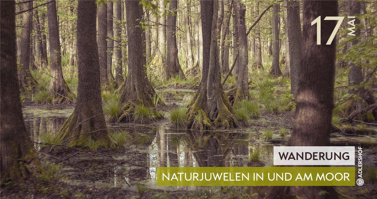 Rittergut Adlershof Umweltzentrum Oberlauterbach Vogtland - Naturjuwelen in und am Moor NUZ © Jens Reiher Rittergut Adlershof Umweltzentrum Oberlauterbach Vogtland - Naturjuwelen in und am Moor NUZ © Jens Reiher