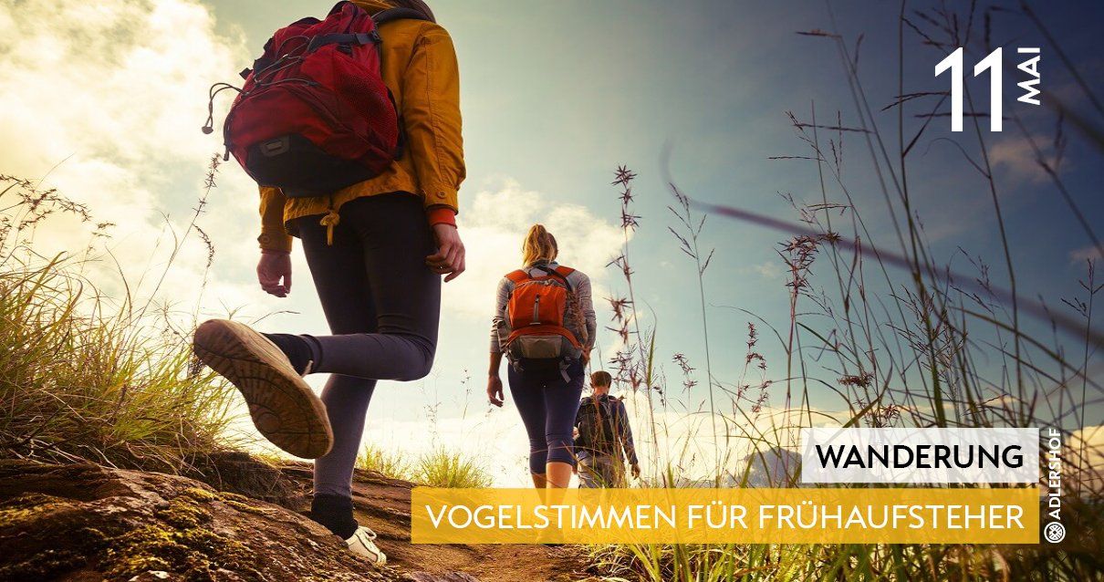 Rittergut Adlershof Umweltzentrum Oberlauterbach Vogtland NUZ - Vogelstimmenwanderung Frühaufsteher © Jens Reiher Rittergut Adlershof Umweltzentrum Oberlauterbach Vogtland NUZ - Vogelstimmenwanderung Frühaufsteher © Jens Reiher