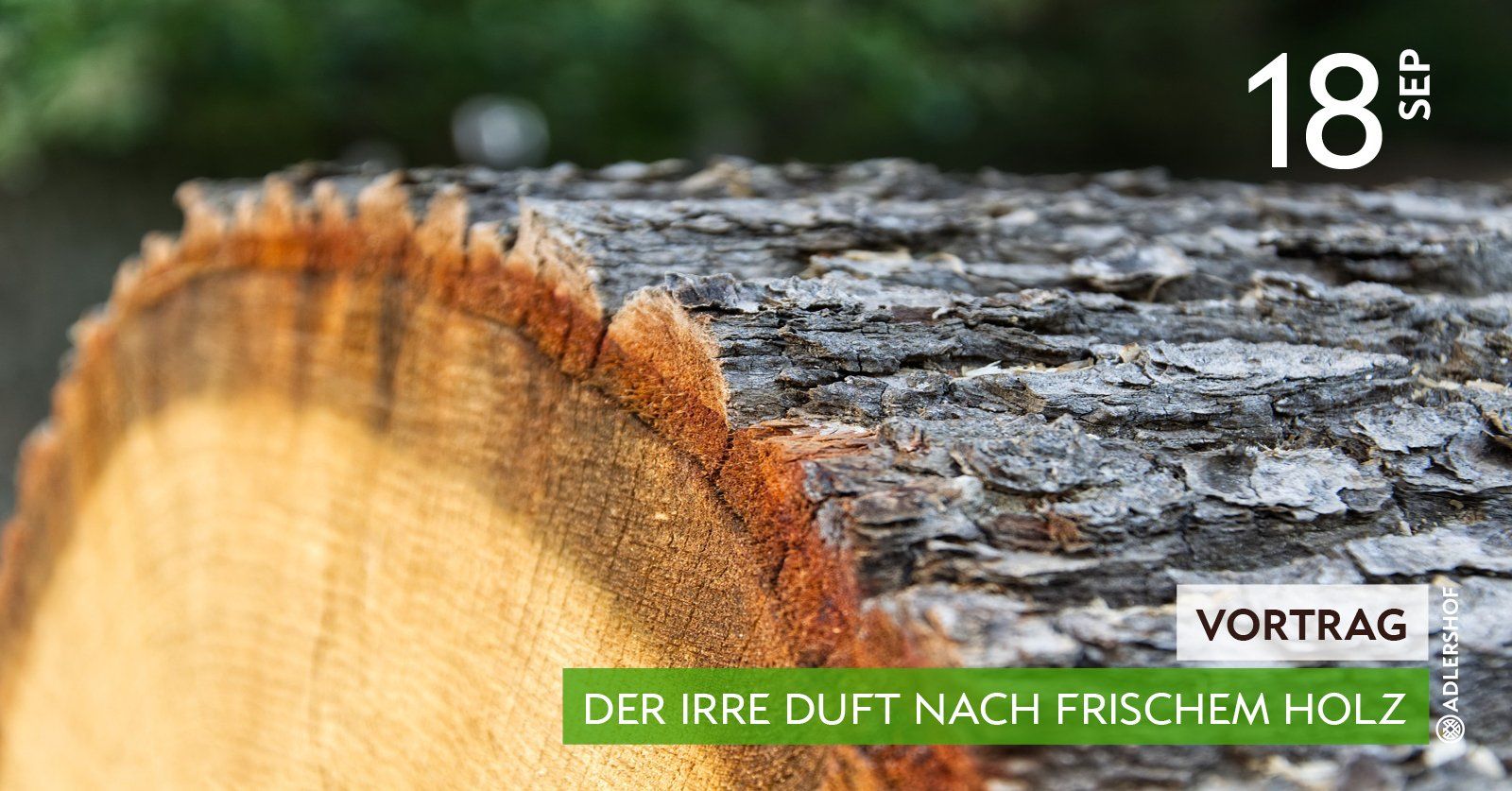 Rittergut Adlershof Umweltzentrum Oberlauterbach Vogtland - Der irre Duft nach Holz © Jens Reiher Rittergut Adlershof Umweltzentrum Oberlauterbach Vogtland - Der irre Duft nach Holz © Jens Reiher