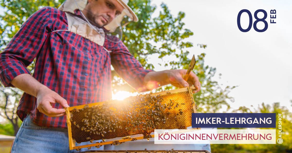 Rittergut Adlershof Umweltzentrum Oberlauterbach Vogtland NUZ - Königinnenvermehrung © Jens Reiher Rittergut Adlershof Umweltzentrum Oberlauterbach Vogtland NUZ - Königinnenvermehrung © Jens Reiher