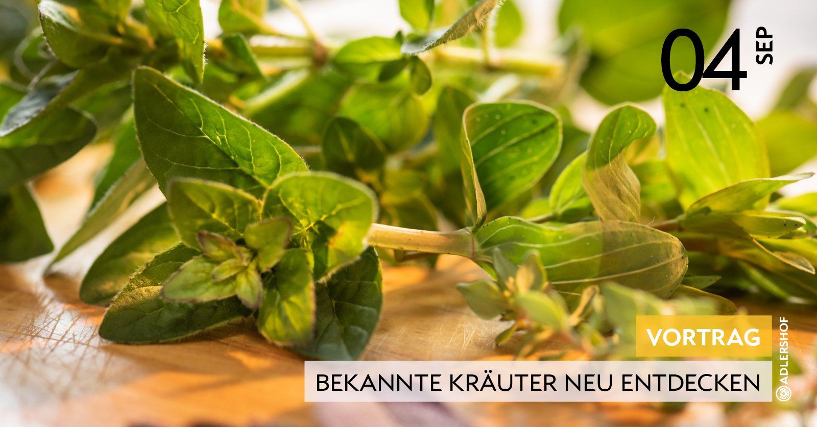 Rittergut Adlershof Umweltzentrum Oberlauterbach Vogtland NUZ - Kräuter neu entdecken © Jens Reiher Rittergut Adlershof Umweltzentrum Oberlauterbach Vogtland NUZ - Kräuter neu entdecken © Jens Reiher