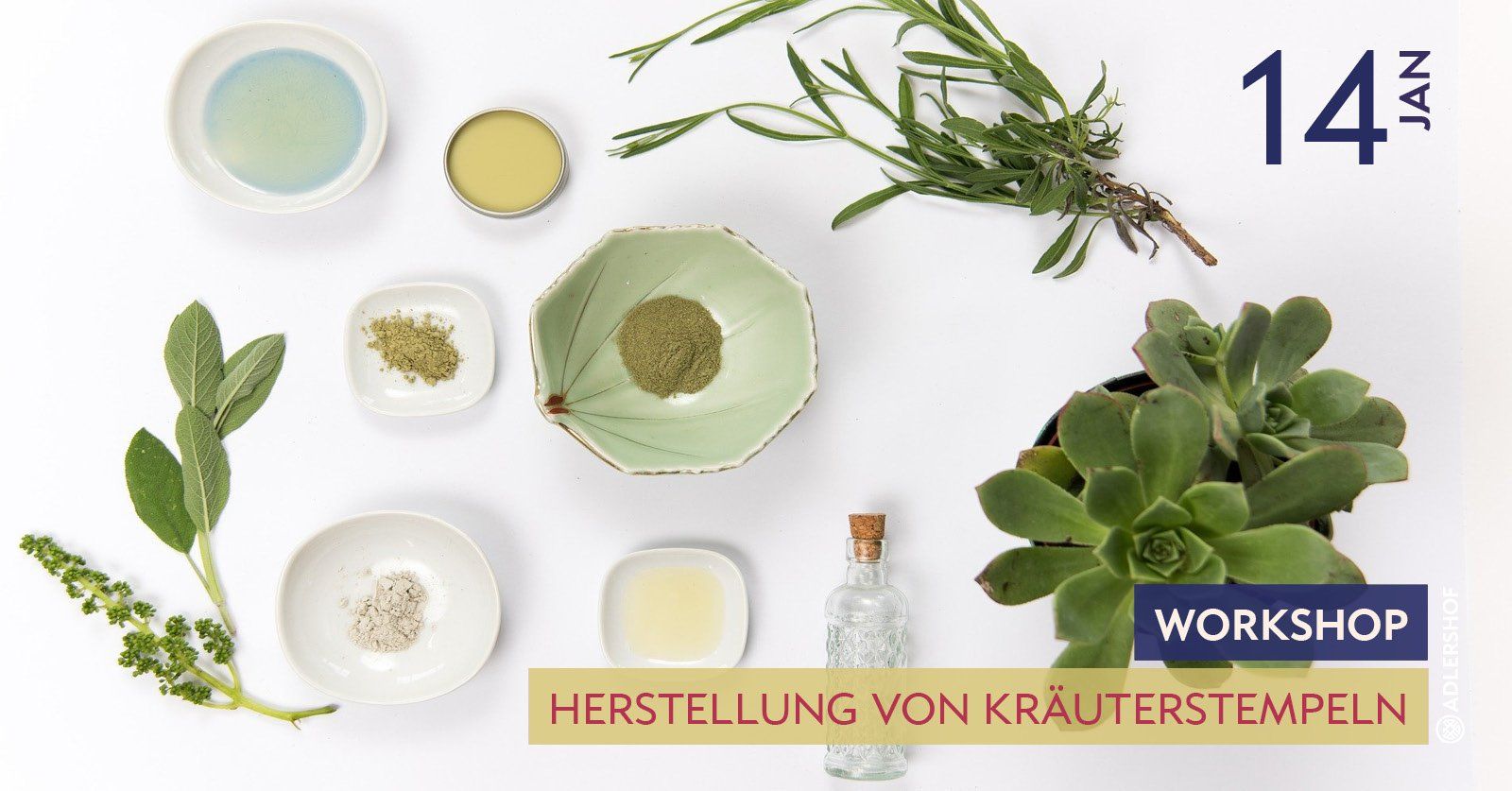 Rittergut Adlershof Umweltzentrum Vogtland Oberlauterbach NUZ - Herstellung Kräuterstempel © Jens Reiher Rittergut Adlershof Umweltzentrum Vogtland Oberlauterbach NUZ - Herstellung Kräuterstempel © Jens Reiher