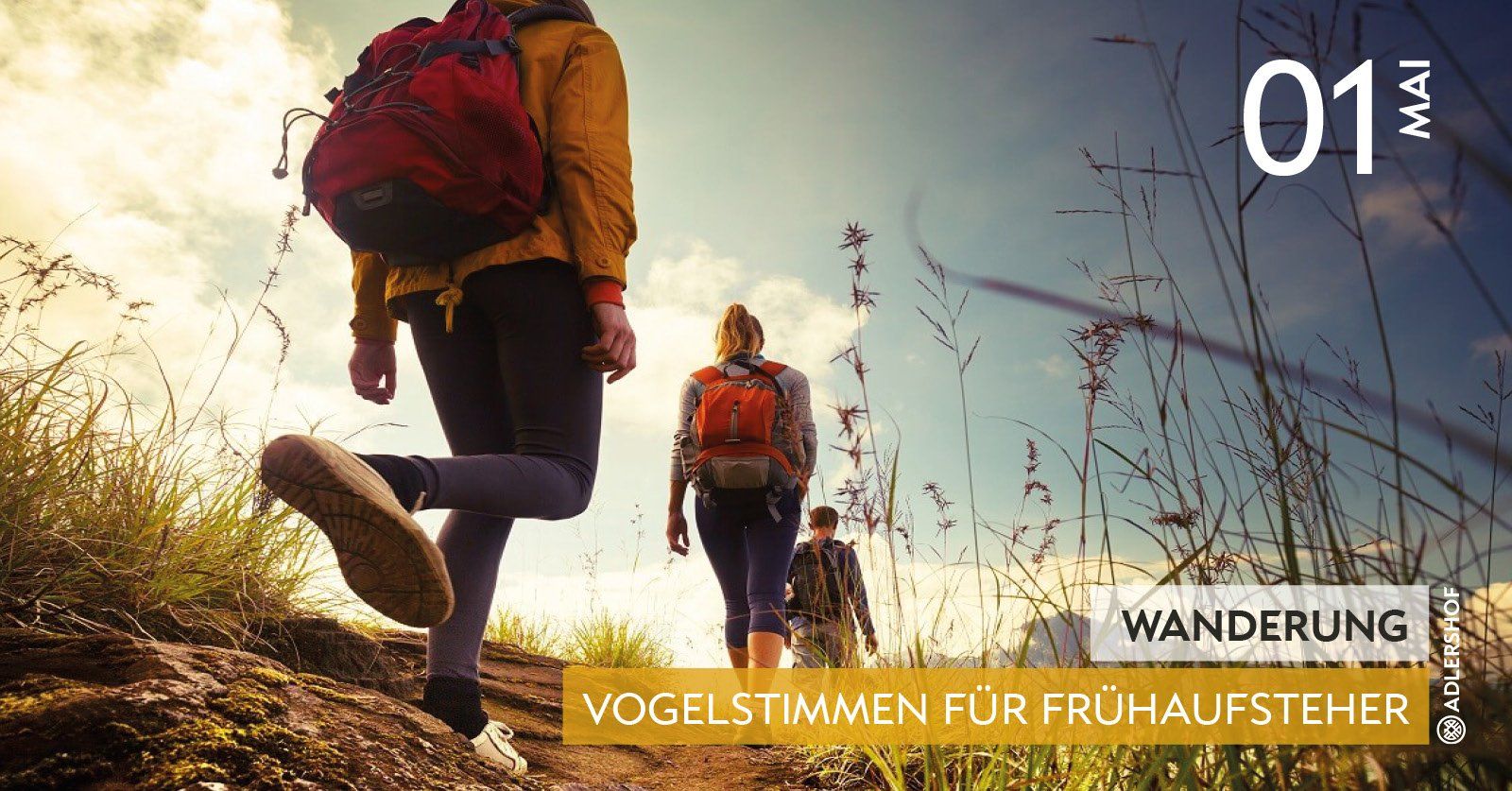Rittergut Adlershof Umweltzentrum Oberlauterbach Vogtland NUZ - Vogelstimmen Frühaufsteher © Jens Reiher Rittergut Adlershof Umweltzentrum Oberlauterbach Vogtland NUZ - Vogelstimmen Frühaufsteher © Jens Reiher