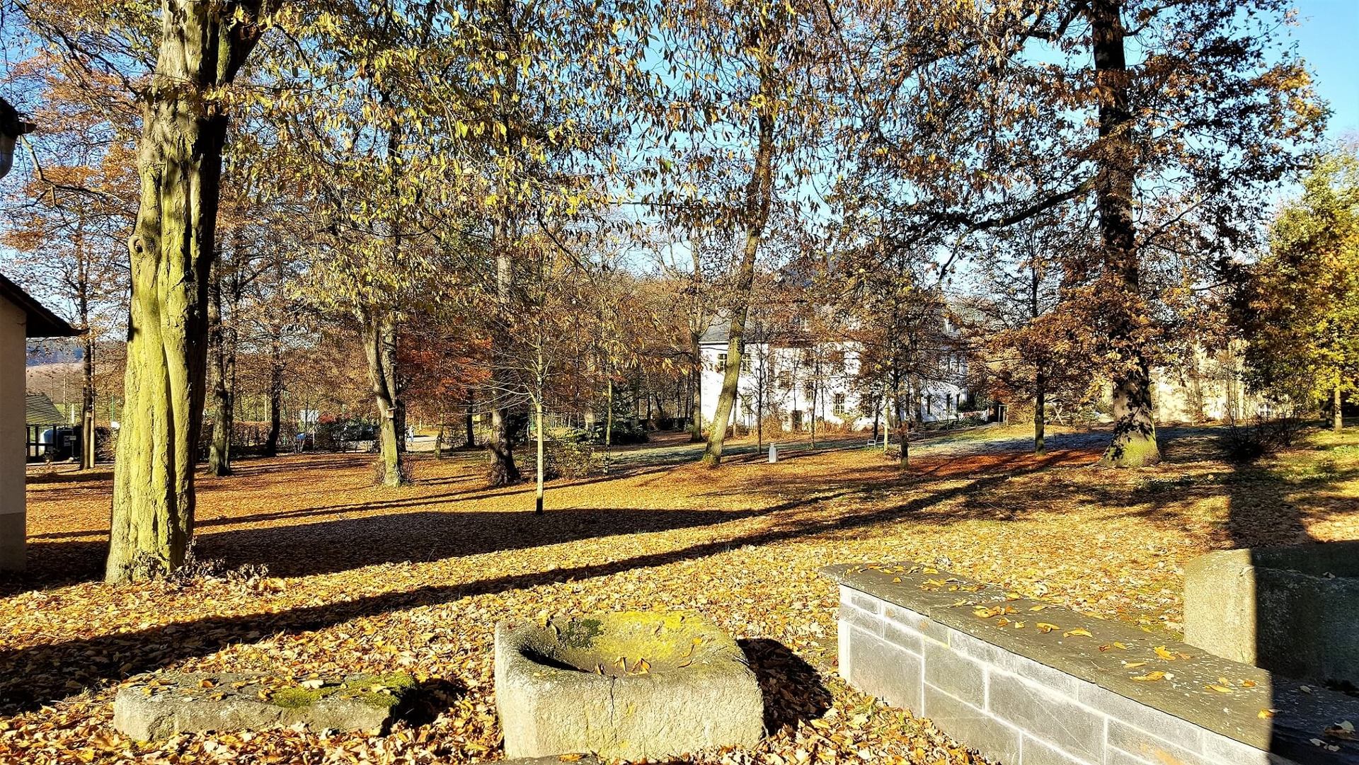 Rittergut Adlershof Umweltzentrum Oberlauterbach Vogtland NUZ - Park im Herbst 2016 © Jens Reiher