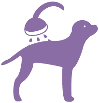 Dog showers