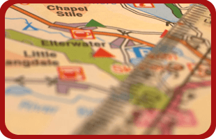 To have an insect infestation removed in Stoke-on-Trent call 01782 388 026 you need pest control services