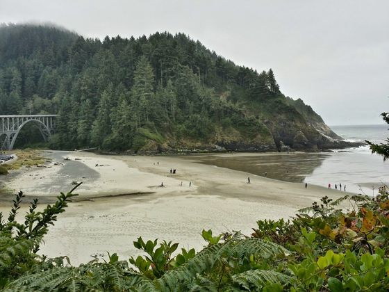 Oregon Coast