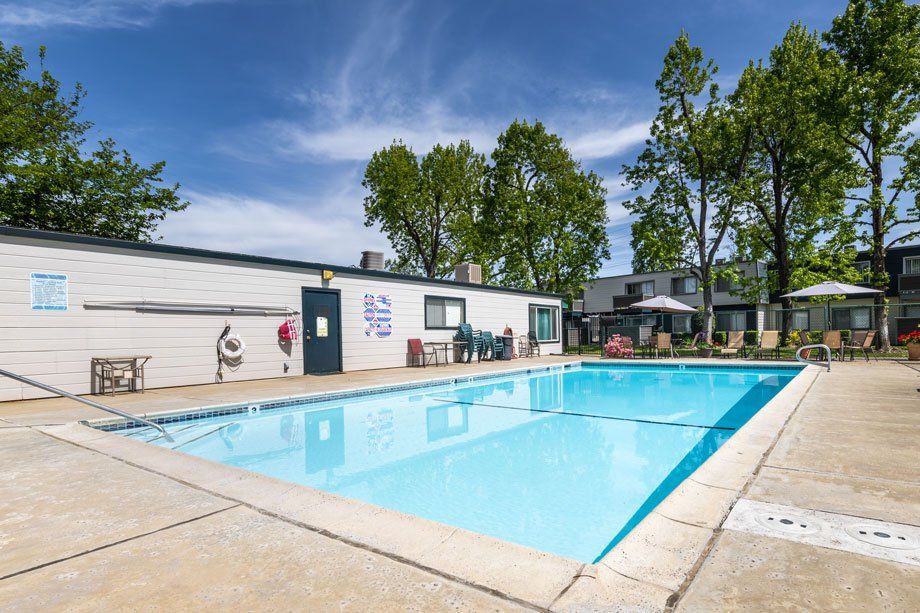 Large Sparkling Swimming Pool