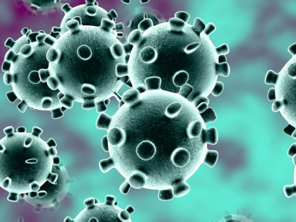 Coronavirus Precautions