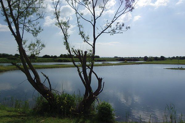 Fishing Lake near Cherry Tree Holiday Lodge Park