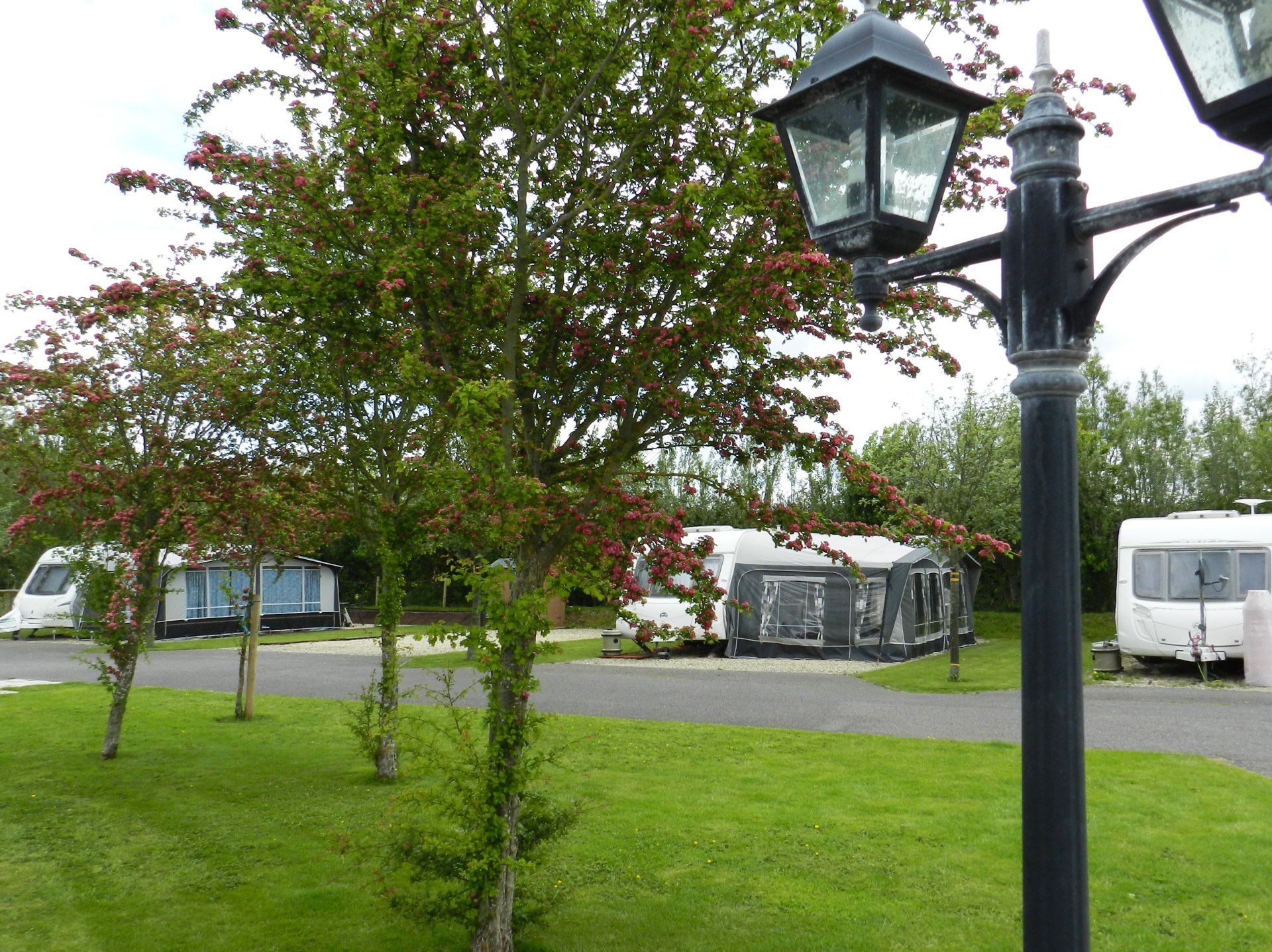 Touring caravans at Coombes Cider Farm near Burnham-on-Sea
