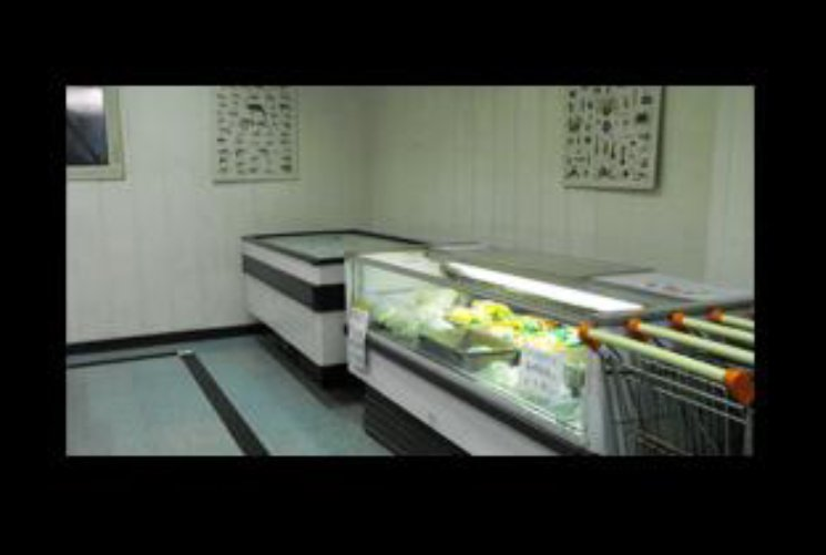 congelatori in negozio
