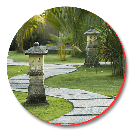 outdoor landscape