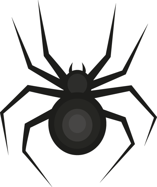 Small-Black-Spider-Icon