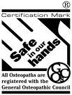 Safe in our hands logo