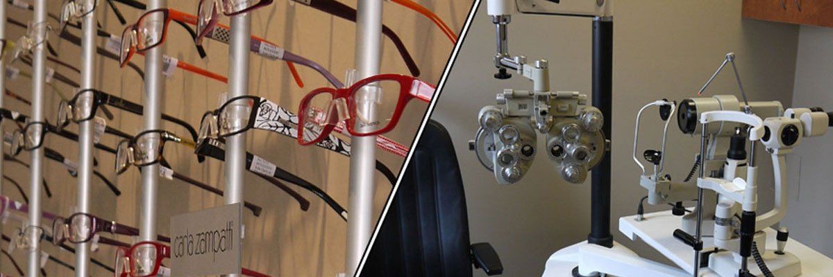 optorica optometrist professional optical care optorica optometrist professional optical care