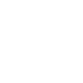 Icona - Whatsapp