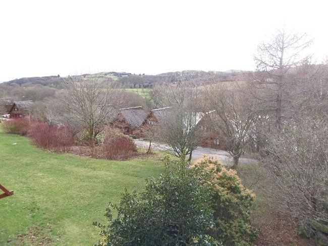 Owl Lodge View From Upper Deck