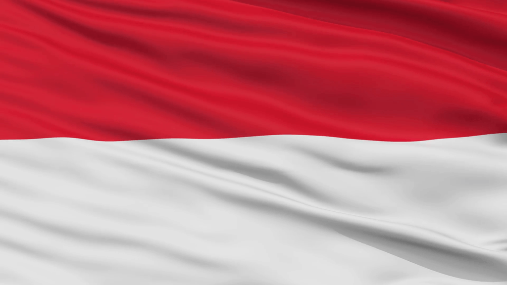 shipping from Indonesia and exportig to Indonesia