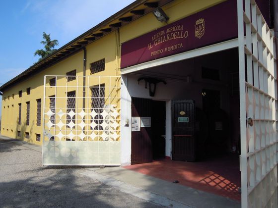 Bottiglie del vino