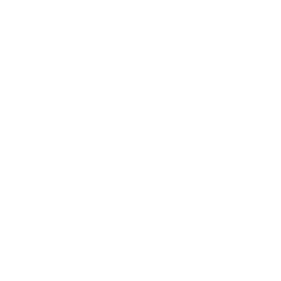 Icona dell'esperienza