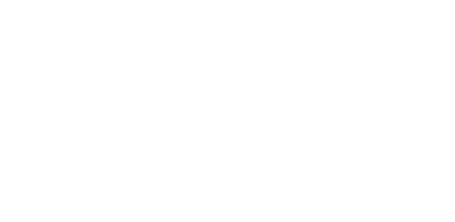 BIC white logo