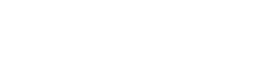 IVS vert logo