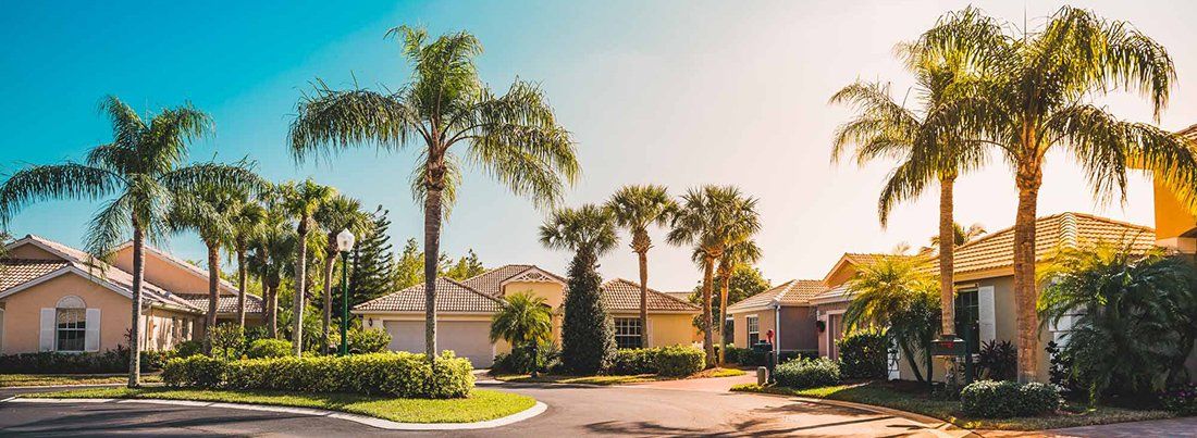 Sand Diego Homes with palm trees in front yard