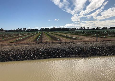 Irrigation — Long River Pumps in Wilby VIC Water Pump — Long River Pumps in Wilby VIC
