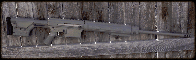 .338 Lapua Custom FDE