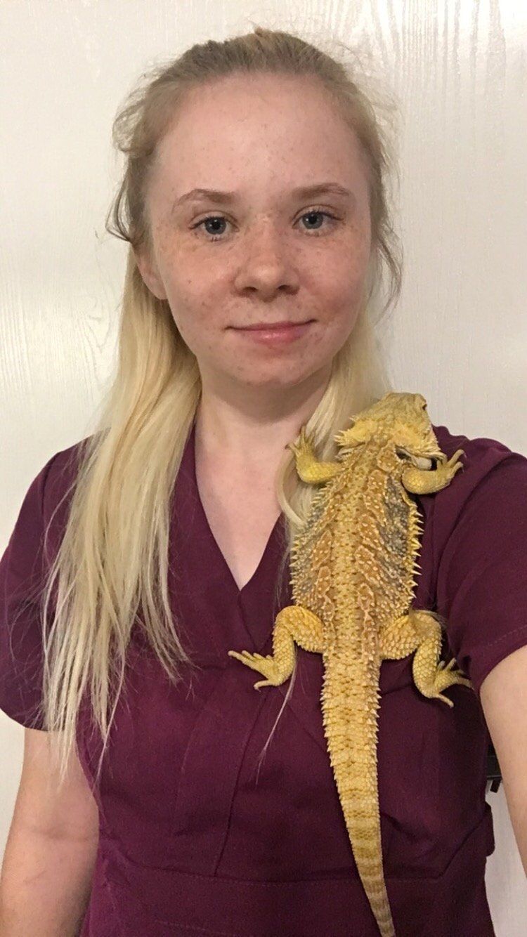 Woman in burgundy shirt with a yellow bearded dragon on her shoulder, smiling.