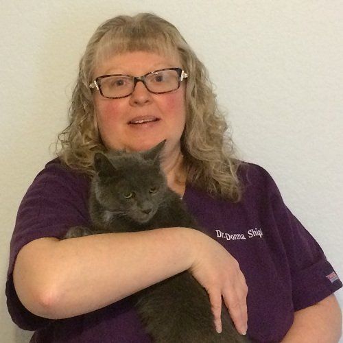 Woman in glasses and purple scrubs holding a gray cat; plain white background.