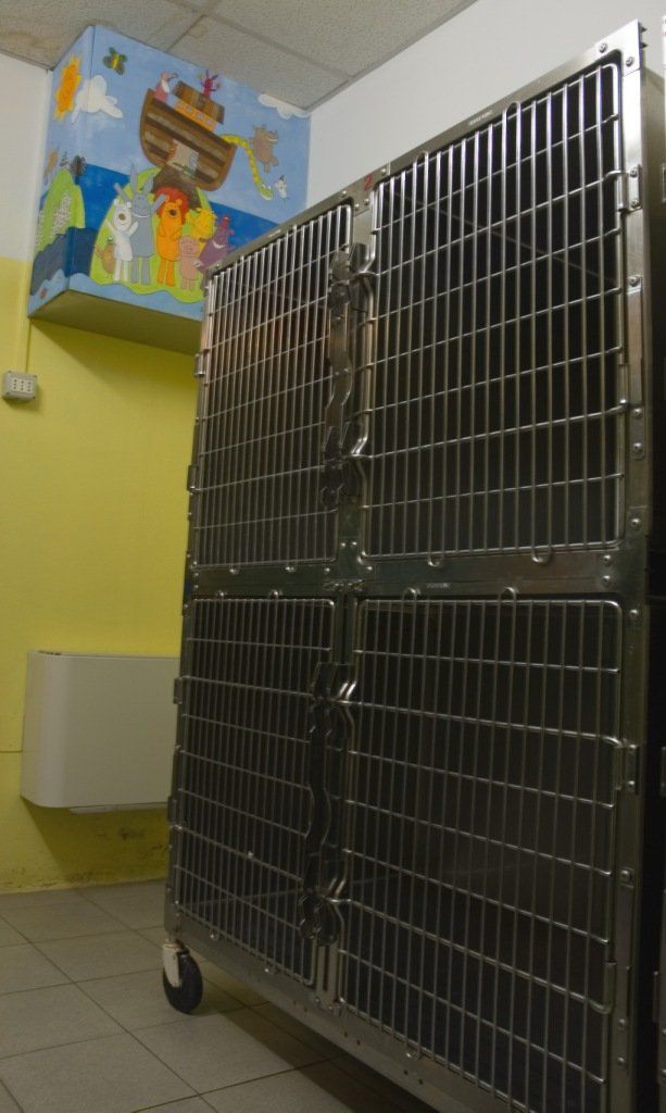area di degenza del centro veterinario