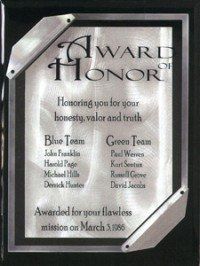 Hi-Gloss Fusion Plaque Ebony Finish With Metallic Touch
