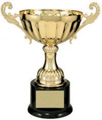 Champion Gold Metal Cup
