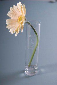 Glass Bud Vase