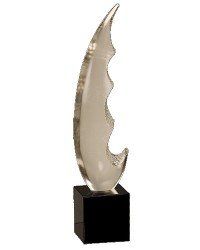 Optic Crystal Wave Award
