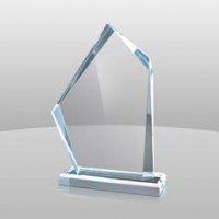 Acrylic Summit Award