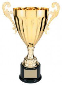 Flute Gold Metal Cup