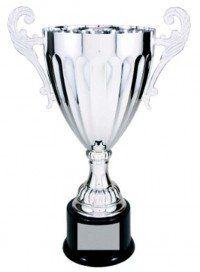 Flute Silver Metal Cup