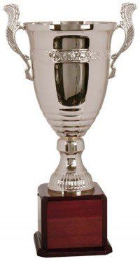 Grand Silver Cup With Rosewood Bases