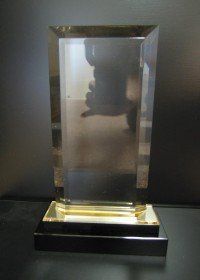 Acrylic Fusion Award