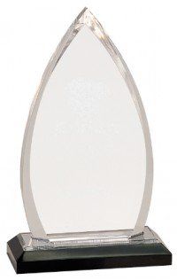 Acrylic Oval Impress Award Black base
