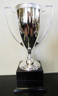 Die-Cast Metal Trophy Cup Die-Cast Metal Trophy Cup