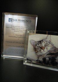 Acrylic Clear Block Acrylic Clear Block